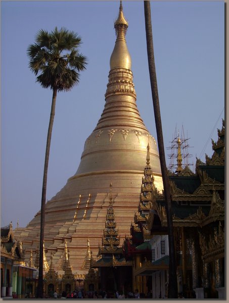 Yangon - Shwedagon