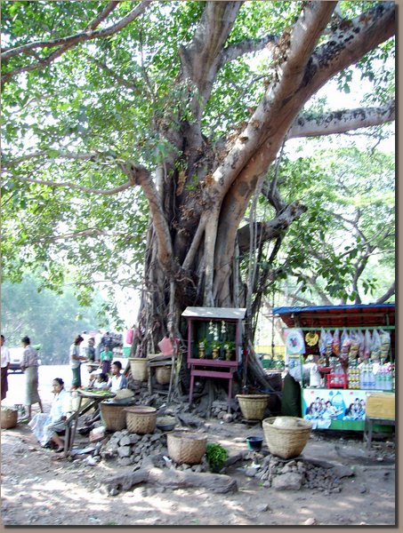 vor Bago - Baumaltar