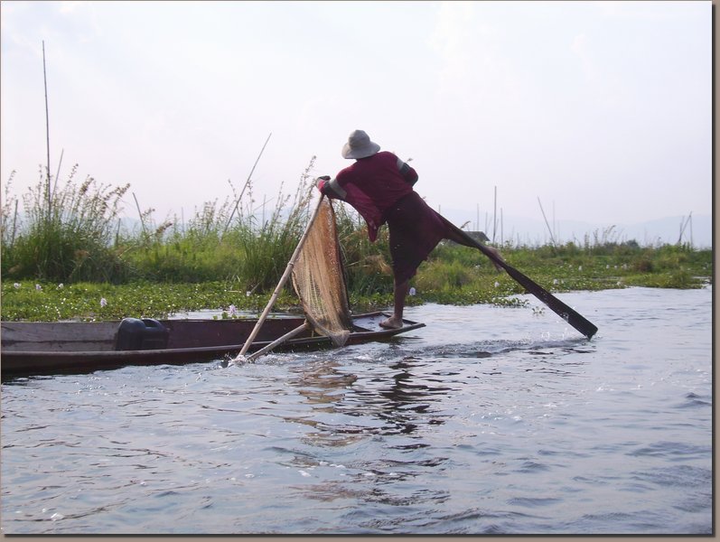 Inle-See - Fischer