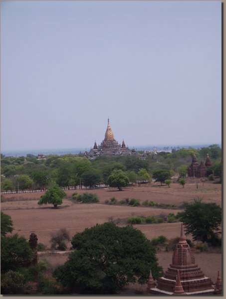 Burma - Pagodenfeld von Bagan