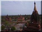Burma - Pagodenfeld von Bagan