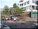 Yangon - nach dem Sturm Nargis
