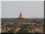 Burma - Pagodenfeld von Bagan