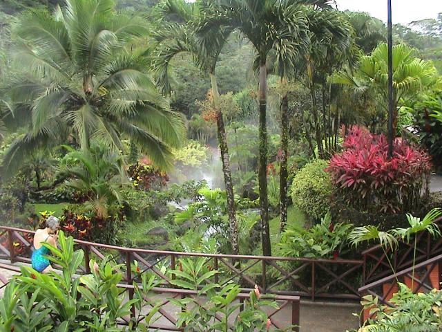 tropische Landschaft