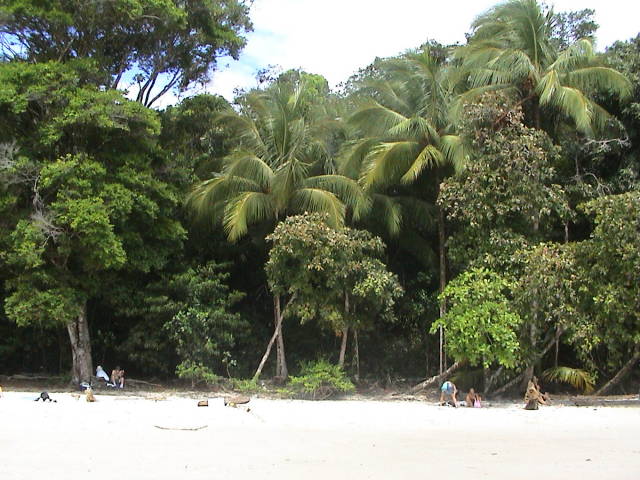 Nationalpark Manual Antonio