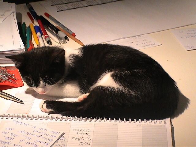 Limes auf Schreibtisch